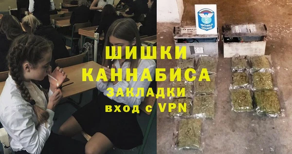PSILOCYBIN Абдулино